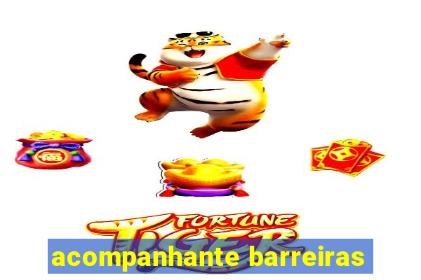 acompanhante barreiras